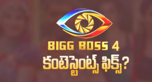 12 Bigg Boss Telugu Season 4 Contestants